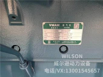 300KW V-MAN沼氣發(fā)電機組